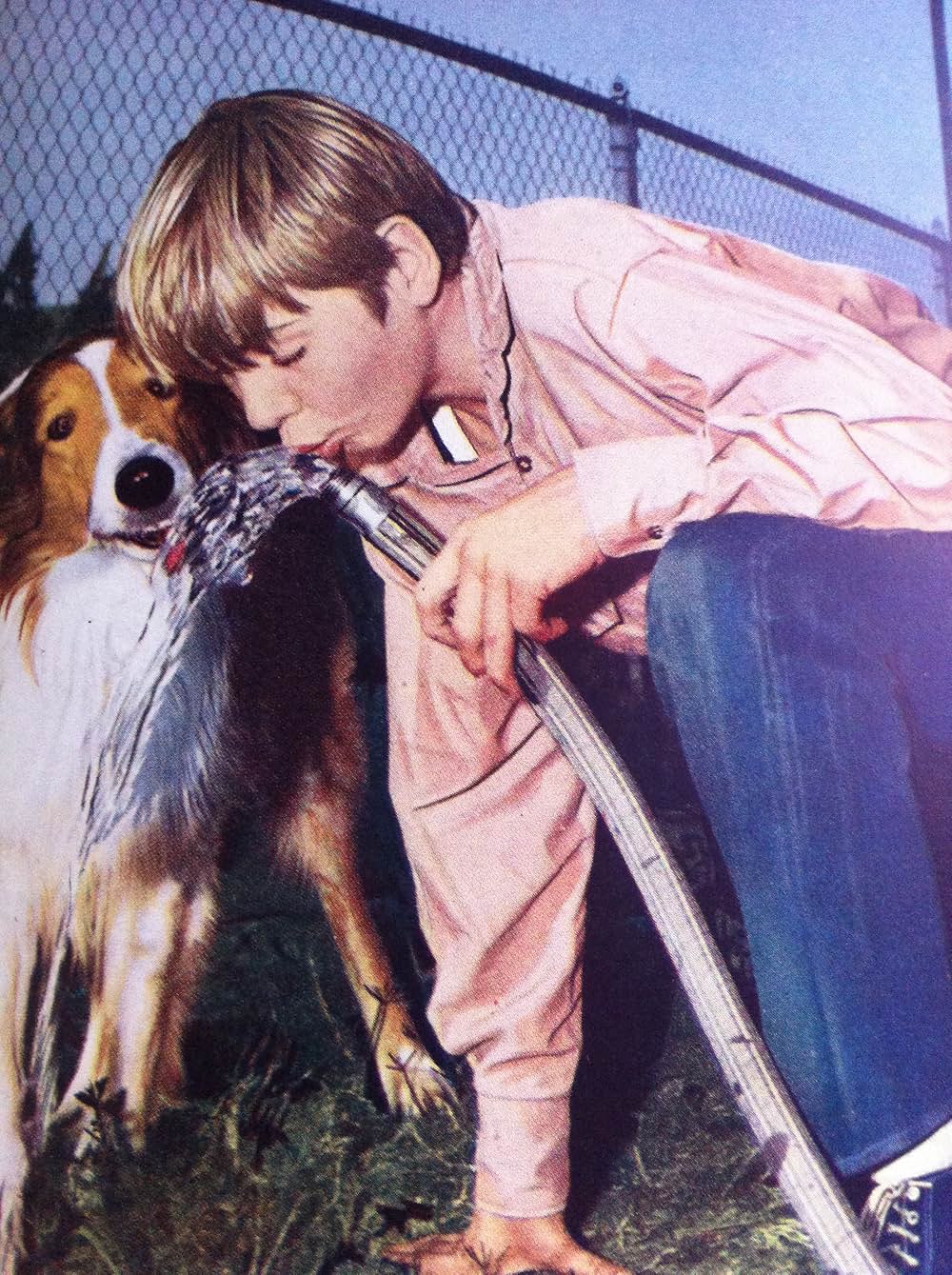 山荘物語の画像