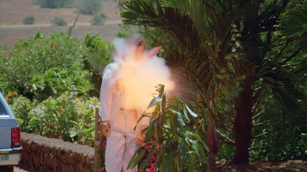 ピカソ・トリガー／殺しのコード・ネームの画像