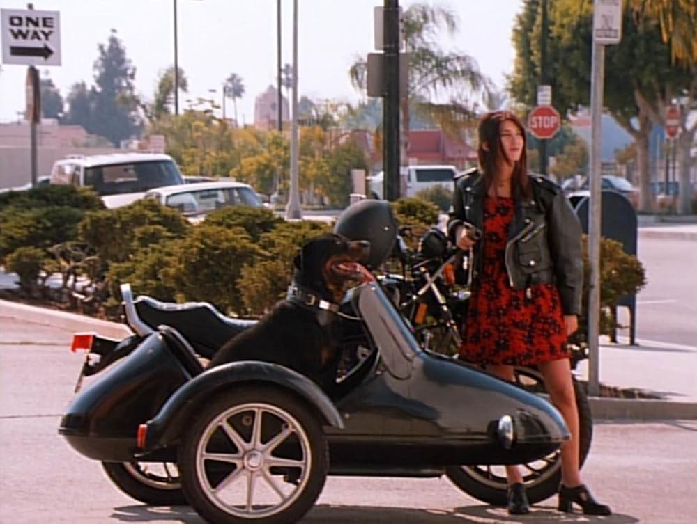 ワイルドボーイズ／ヘイル、シーザー！の画像