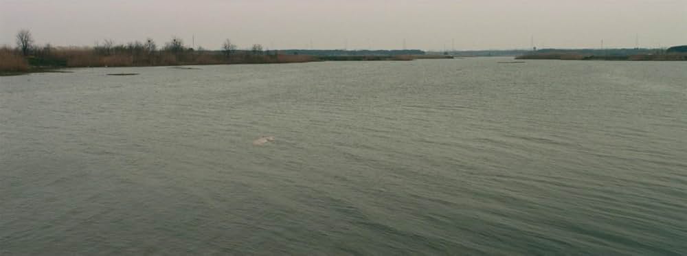 Dead Pigs（原題）の画像