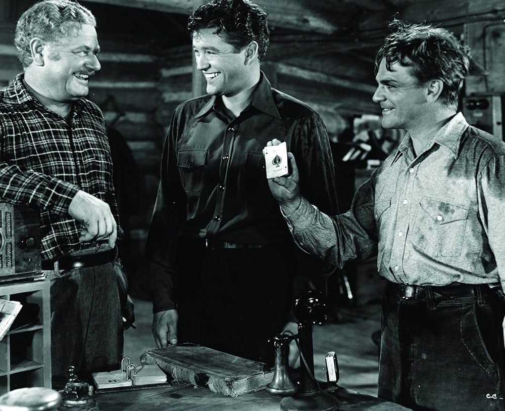 空軍の暴れん坊の画像