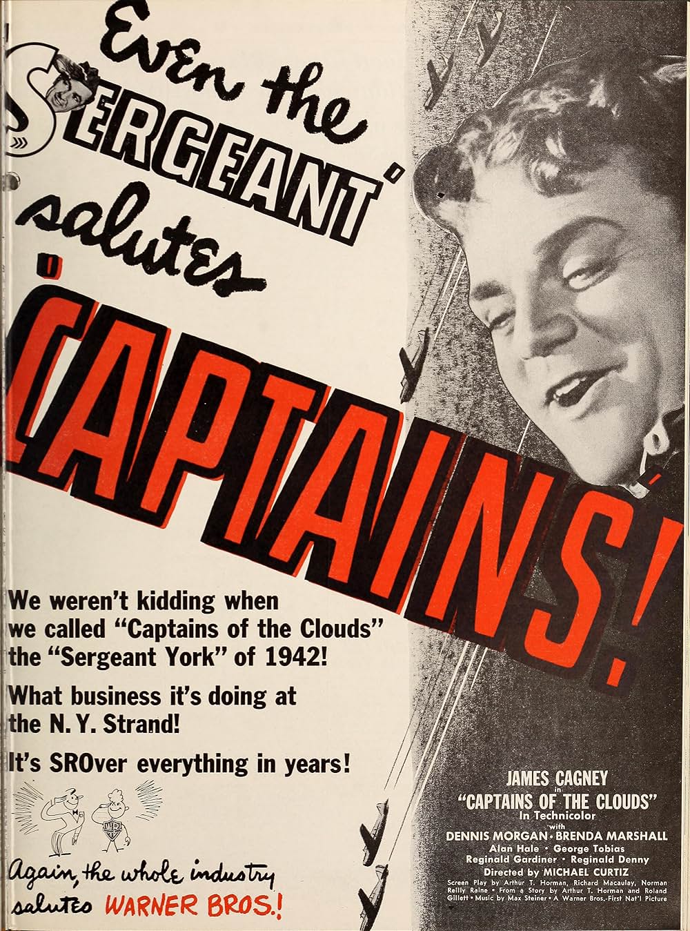 空軍の暴れん坊の画像