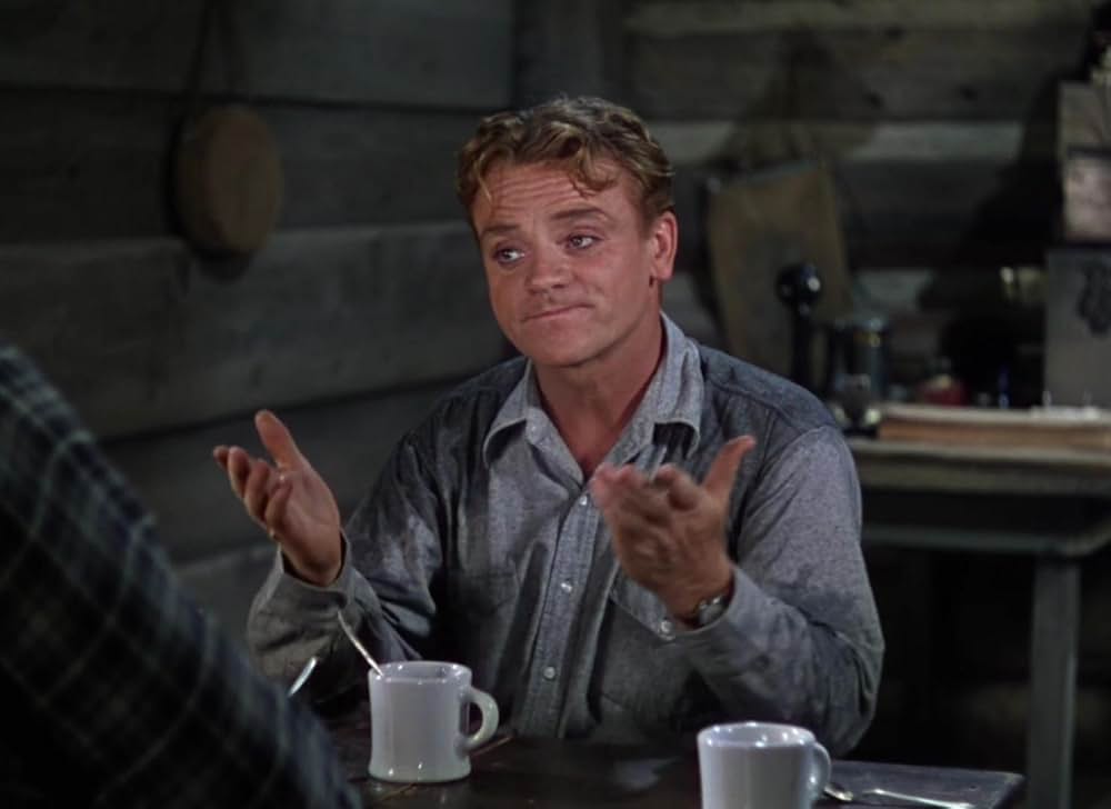 空軍の暴れん坊の写真