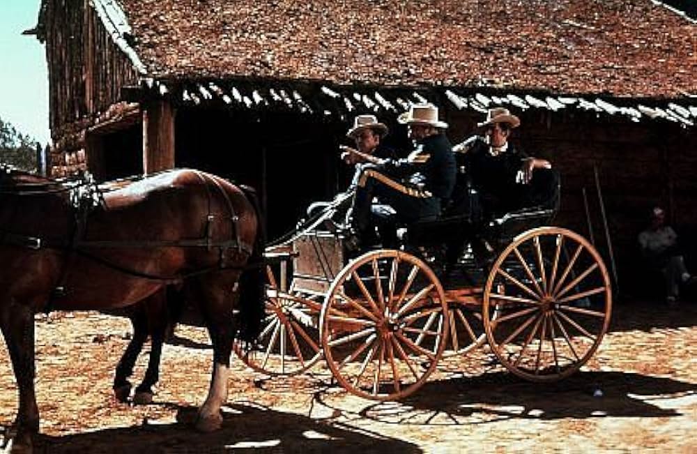 荒野の3軍曹の画像