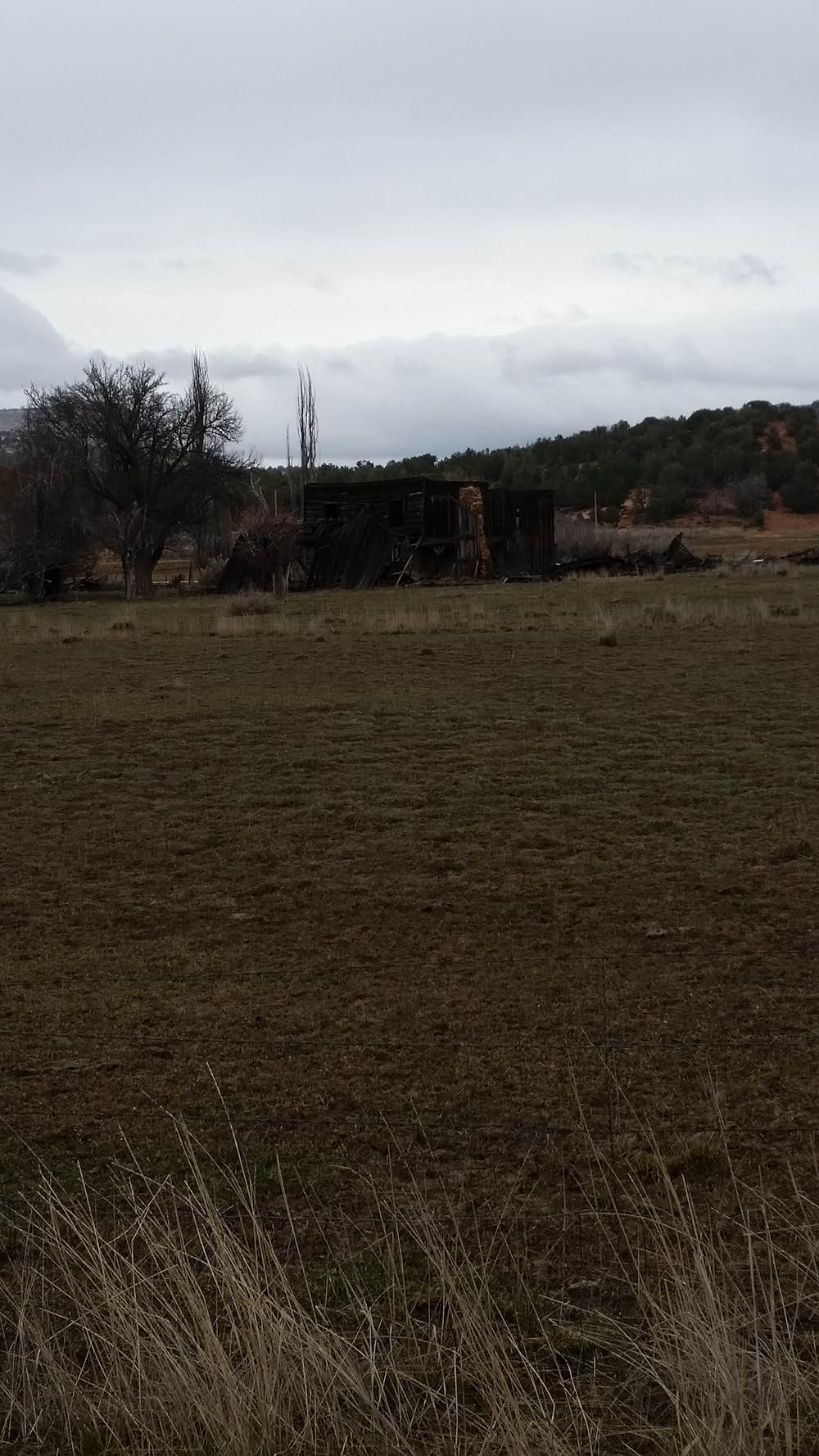 荒野の3軍曹の画像