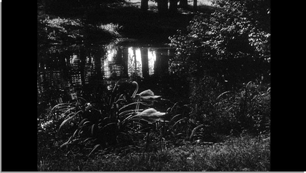 夏の夜は三たび微笑むの画像