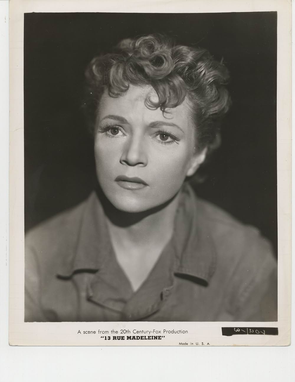 鮮血の情報の画像