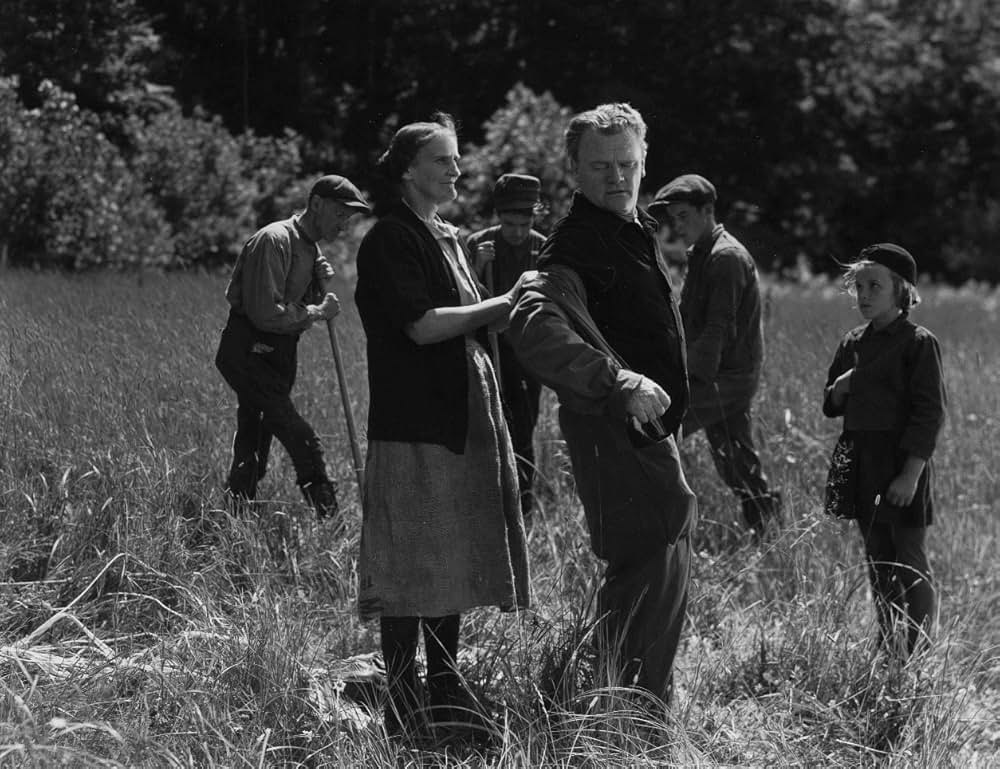 鮮血の情報の画像