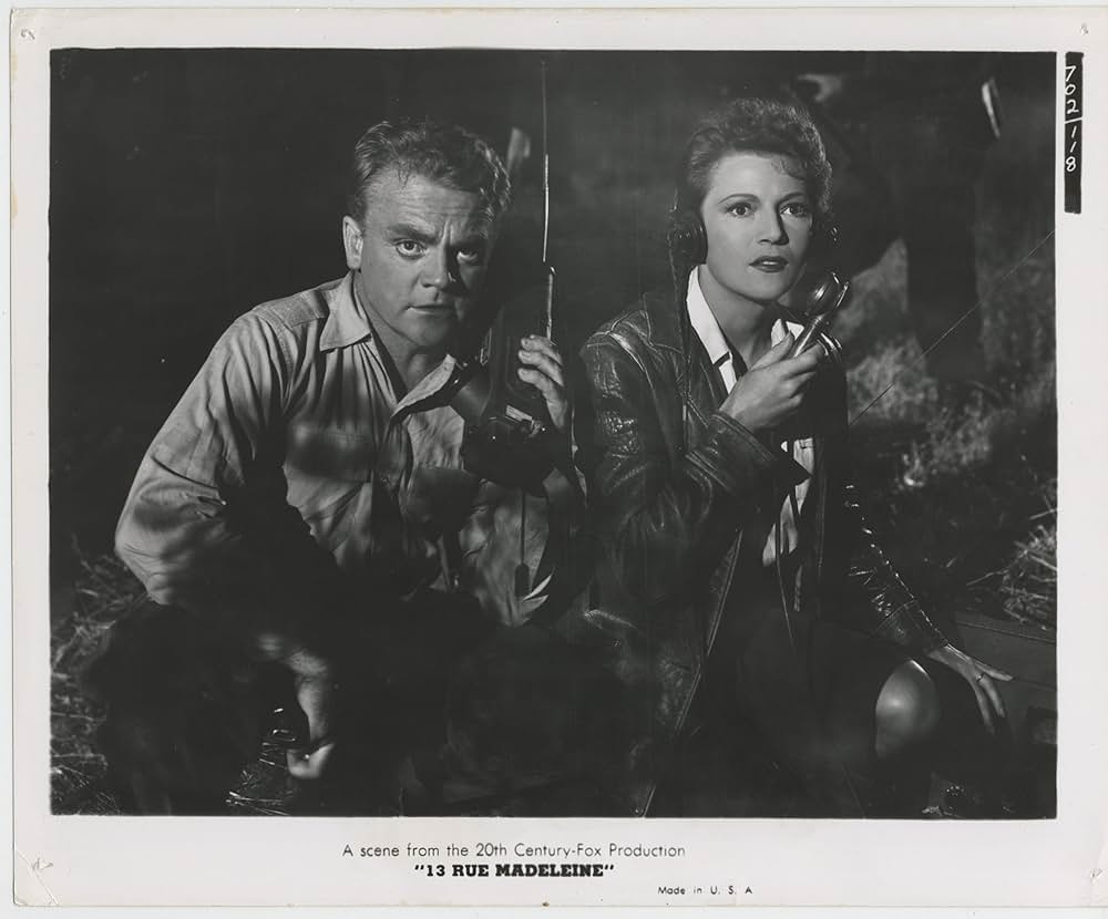 鮮血の情報の画像