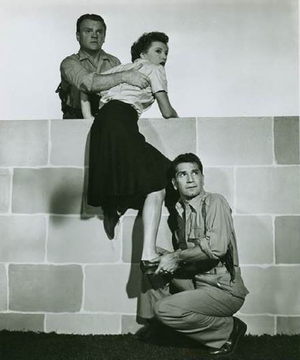 鮮血の情報の写真