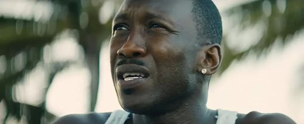 「ムーンライト」マハーシャラ・アリの画像