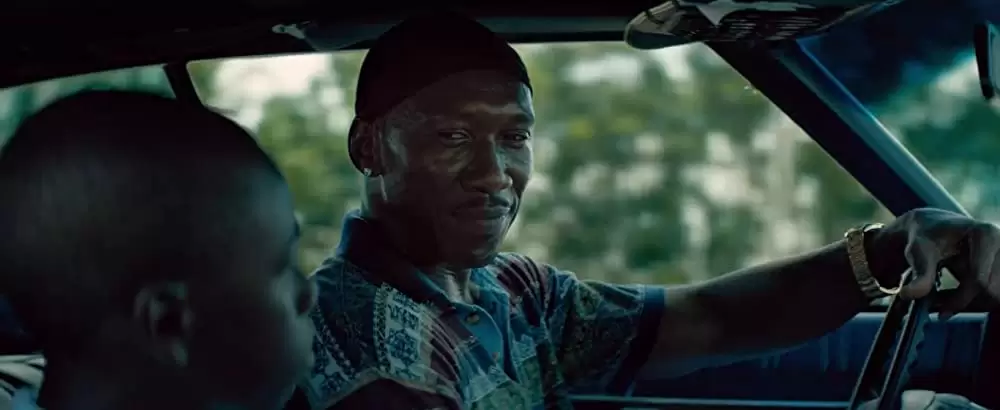 「ムーンライト」マハーシャラ・アリ & Alex Hibbertの画像