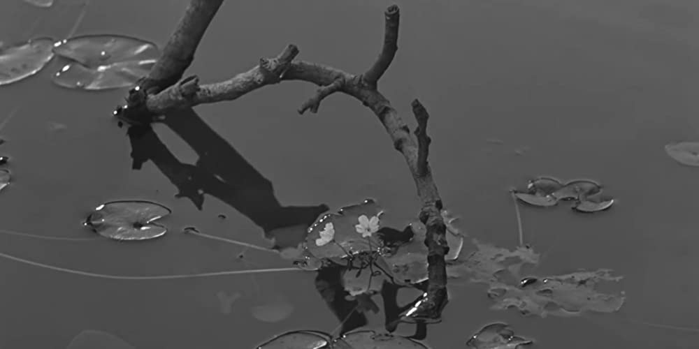 大地のうたの画像