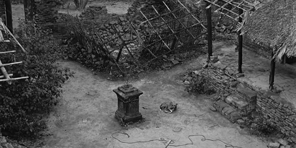 大地のうたの画像