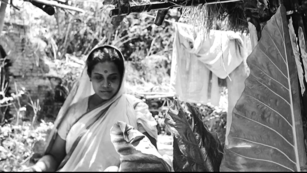 大地のうたの画像