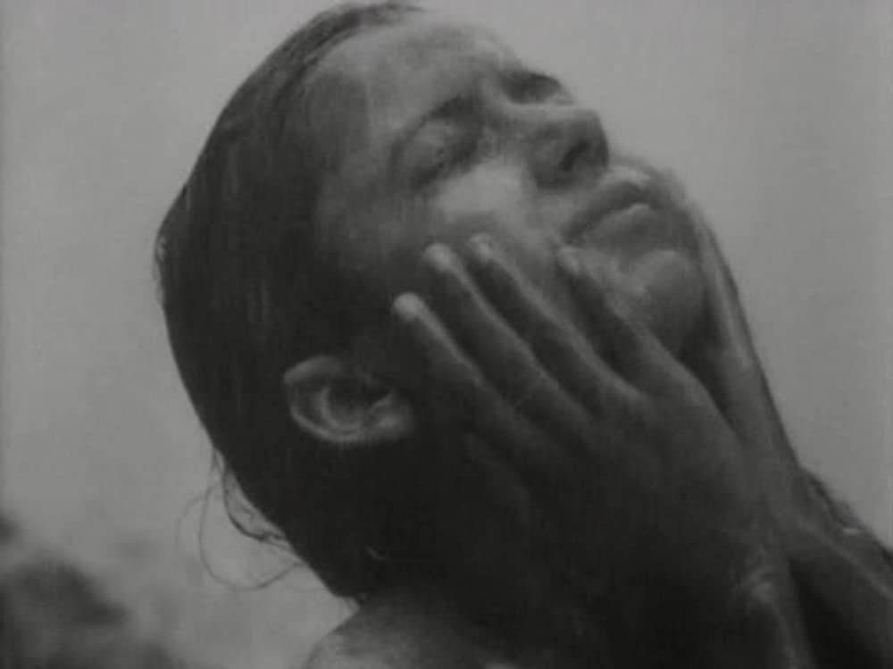 大地のうたの画像