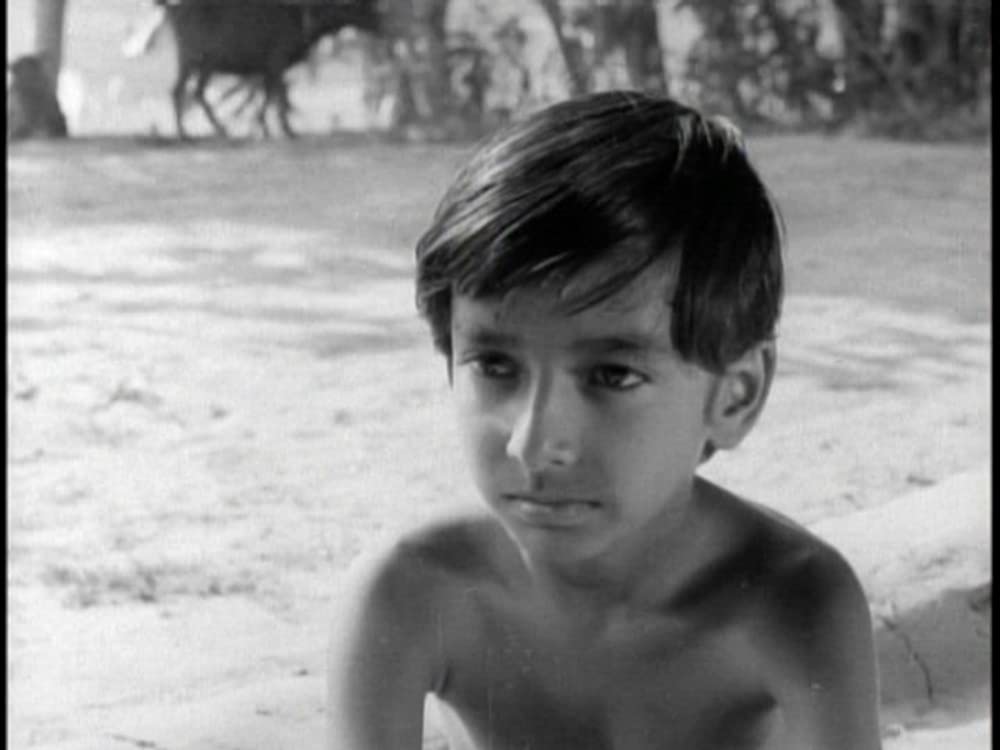 大地のうたの画像