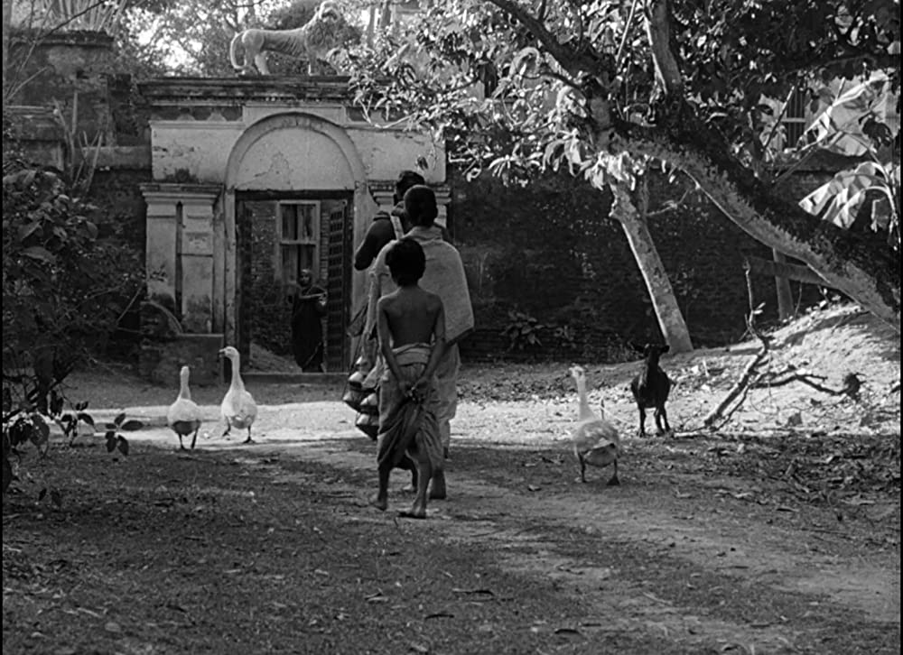 大地のうたの画像