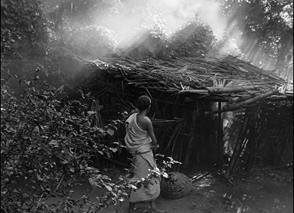 大地のうたの画像