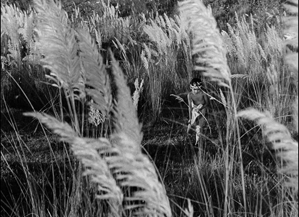 大地のうたの画像