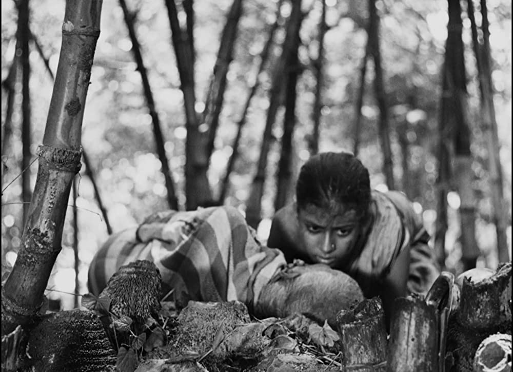 大地のうたの画像