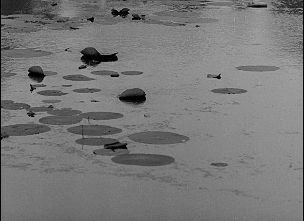 大地のうたの画像