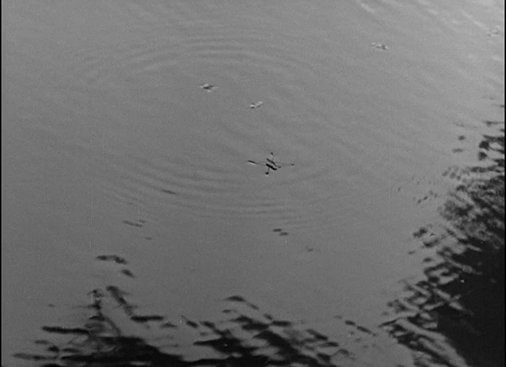 大地のうたの画像