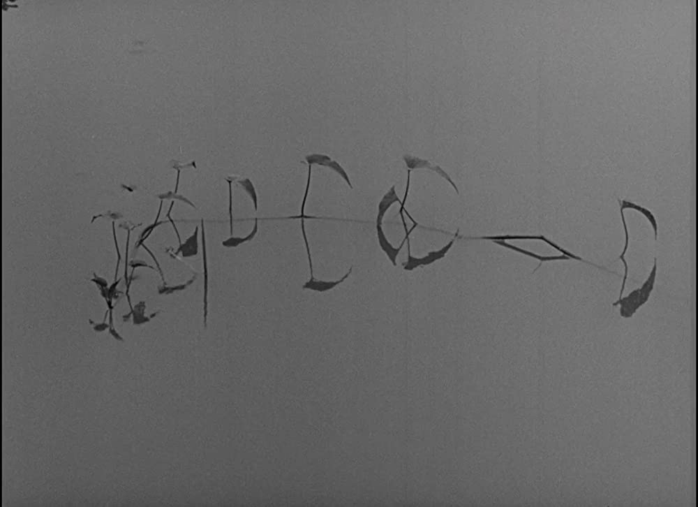 大地のうたの画像