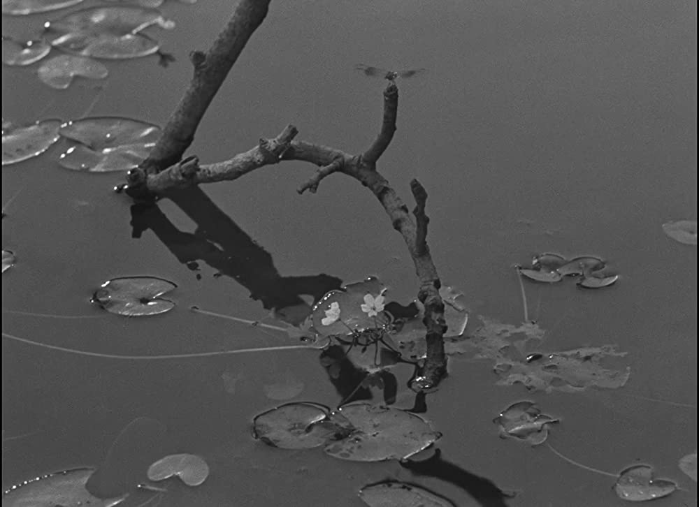 大地のうたの画像