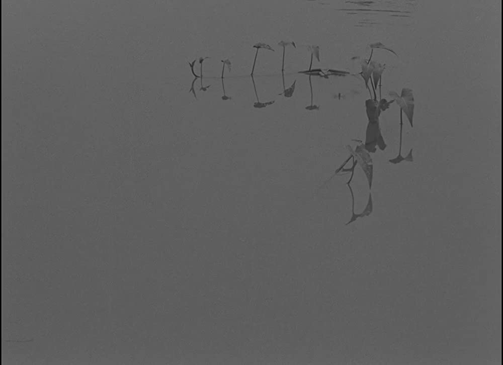 大地のうたの画像