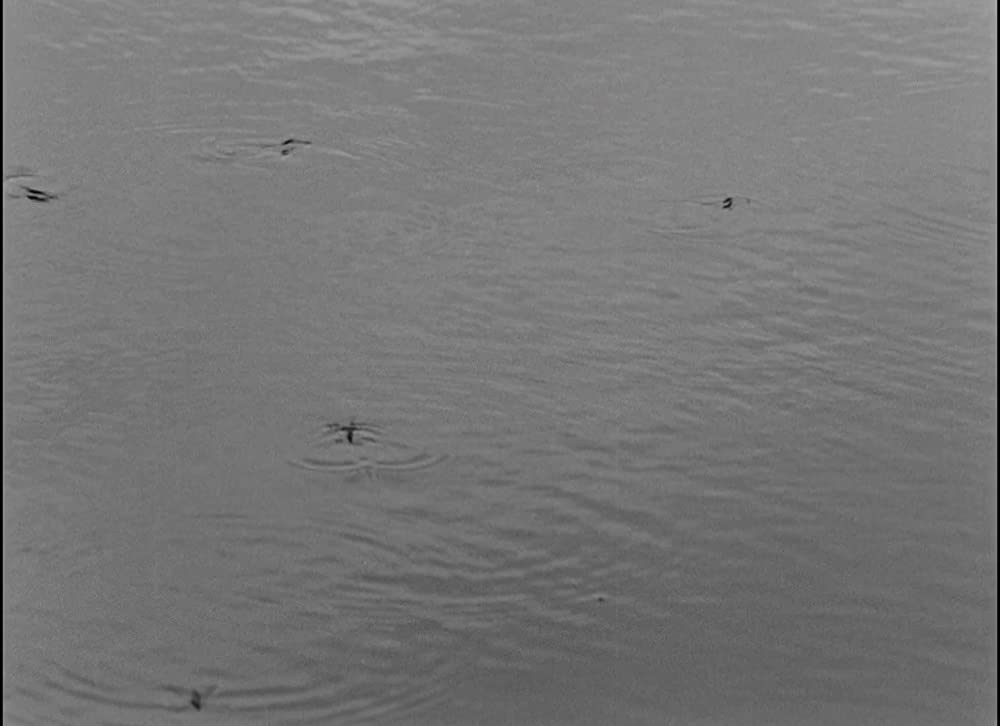 大地のうたの画像