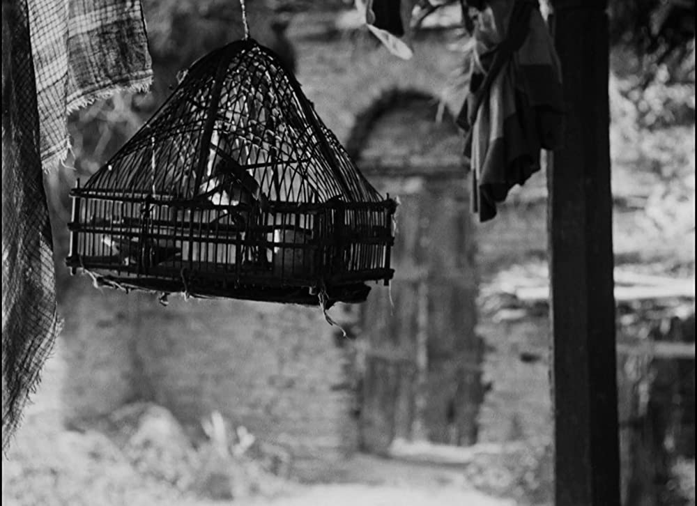 大地のうたの画像