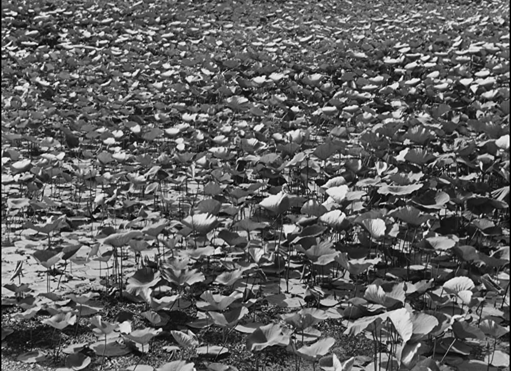 大地のうたの画像