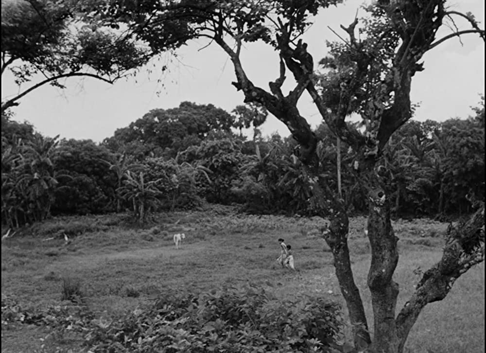 大地のうたの画像