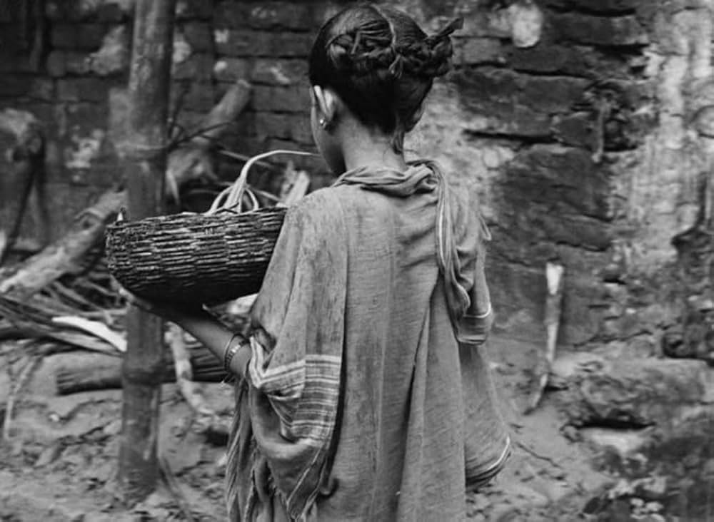 大地のうたの画像