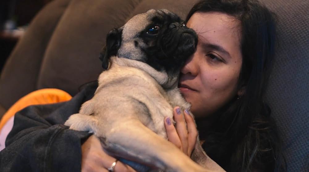 Chasing Chasing Amy（原題）の写真