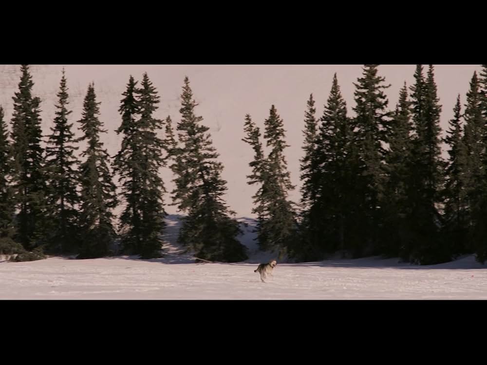 ポラリス 死闘のアイスロードの画像