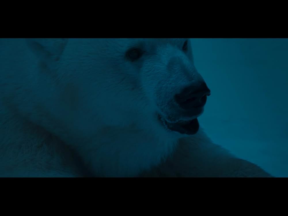 ポラリス 死闘のアイスロードの画像