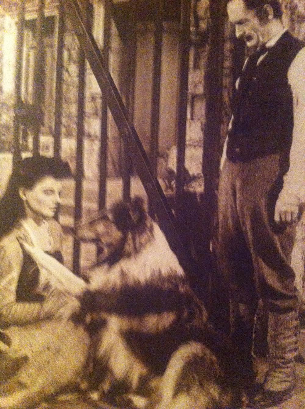 名犬ラッシー／ラッシーの試練の画像