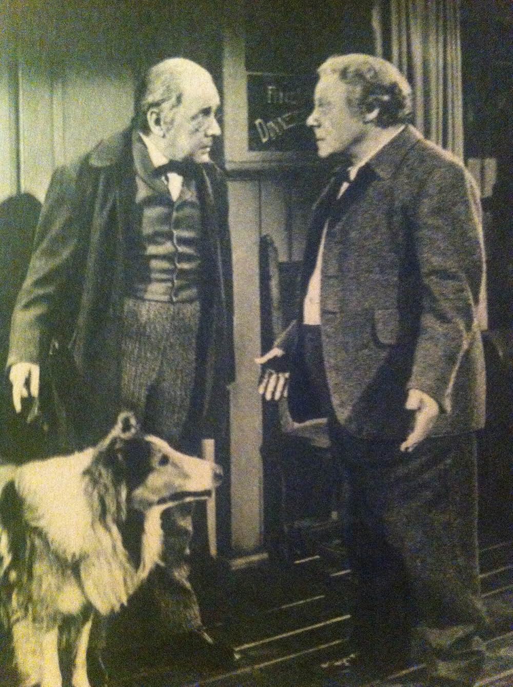 名犬ラッシー／ラッシーの試練の写真