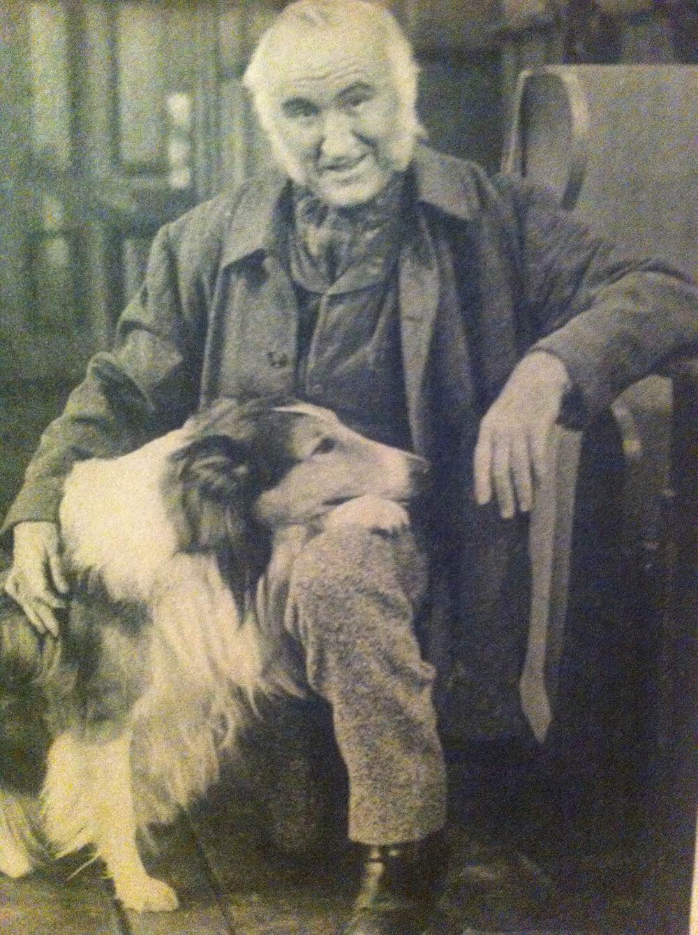 名犬ラッシー／ラッシーの試練の画像