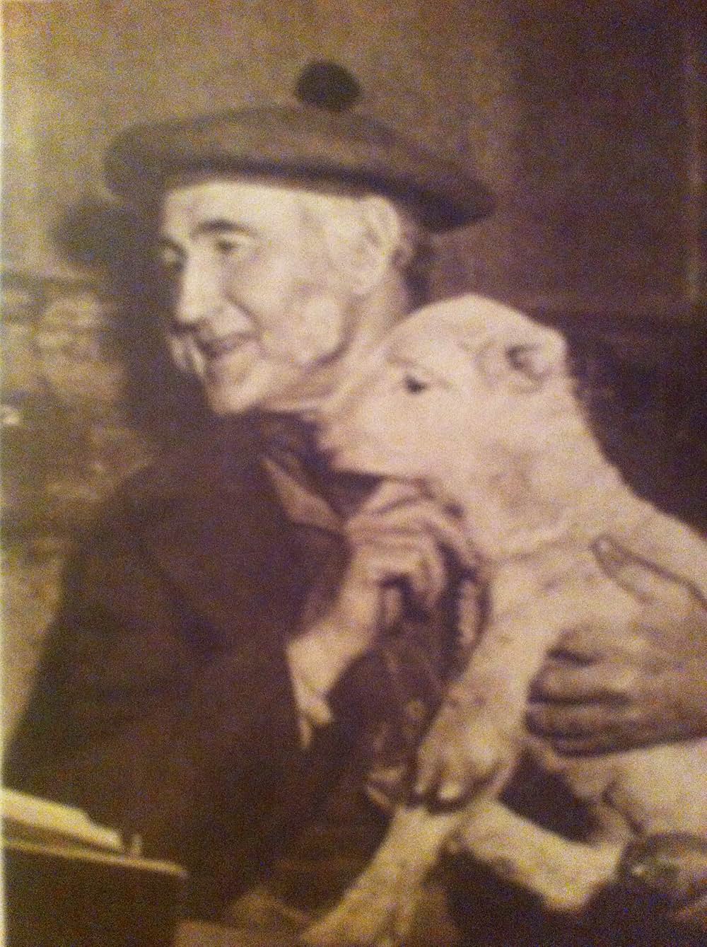 名犬ラッシー／ラッシーの試練の画像