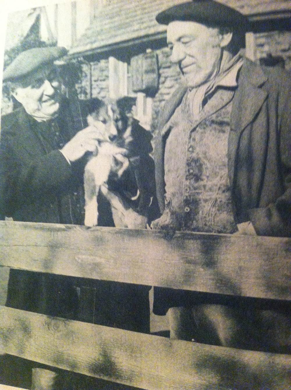 名犬ラッシー／ラッシーの試練の画像