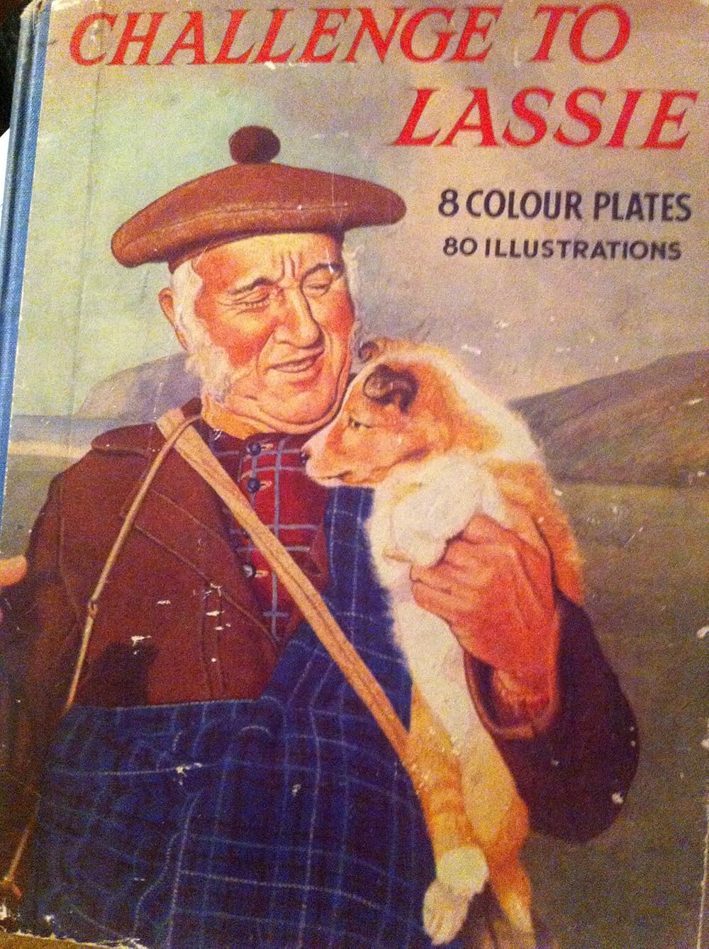 名犬ラッシー／ラッシーの試練の画像