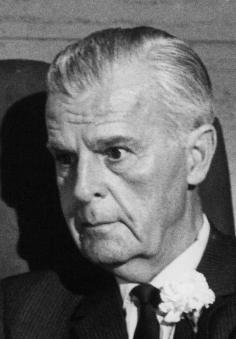 底抜け男性No.1の画像