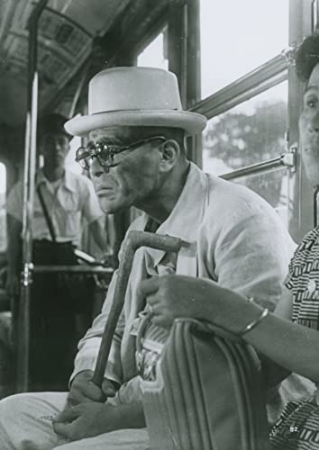 生きものの記録の画像