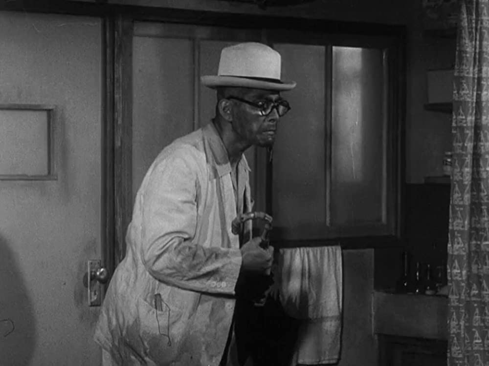 生きものの記録の画像