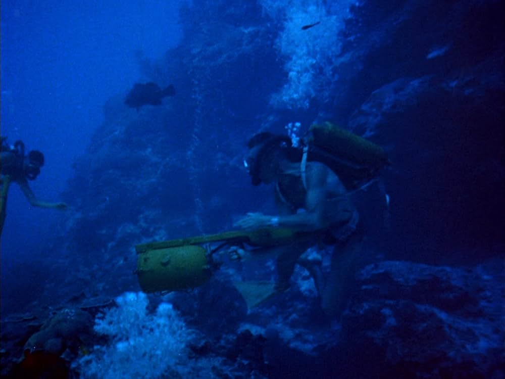 沈黙の世界の画像