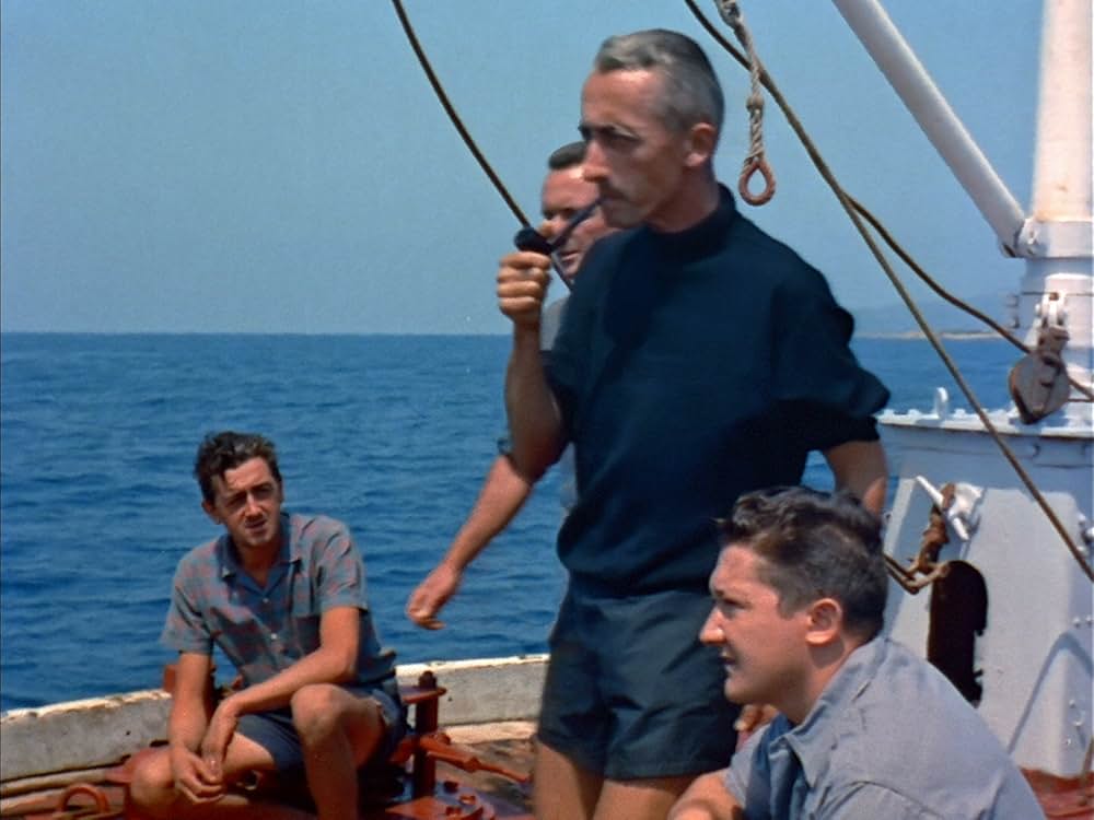 沈黙の世界の画像