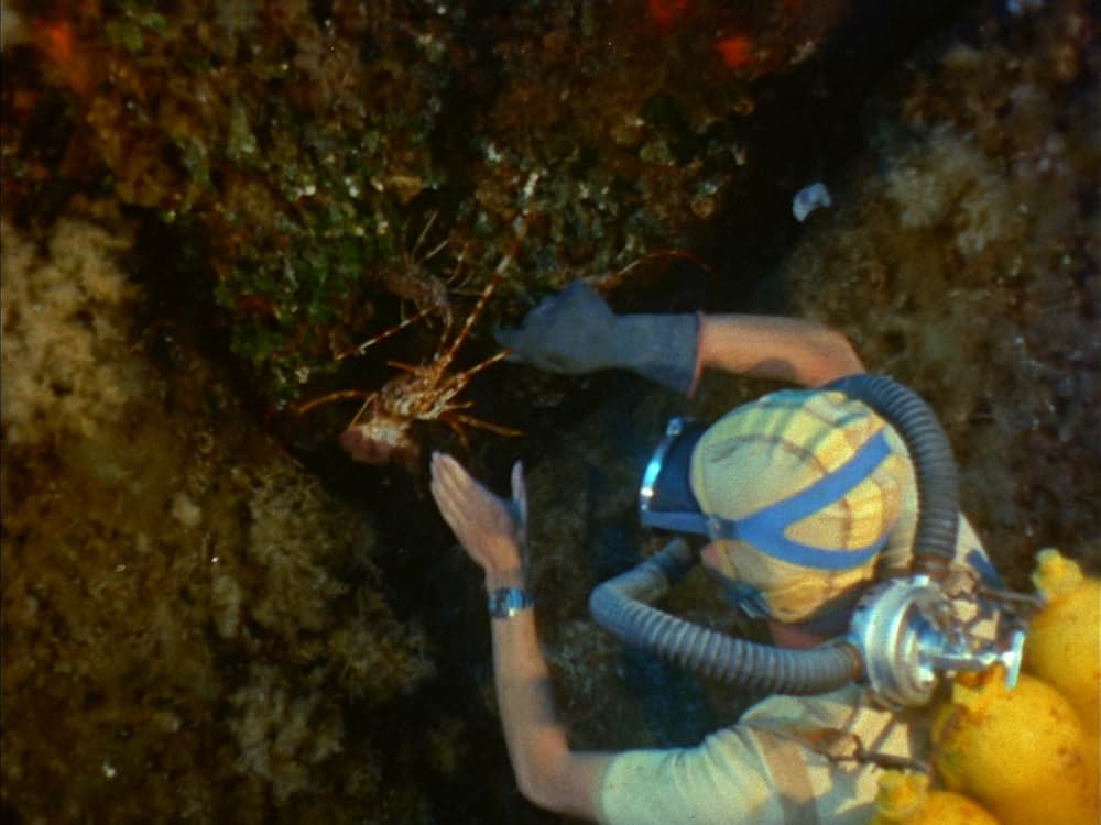 沈黙の世界の画像